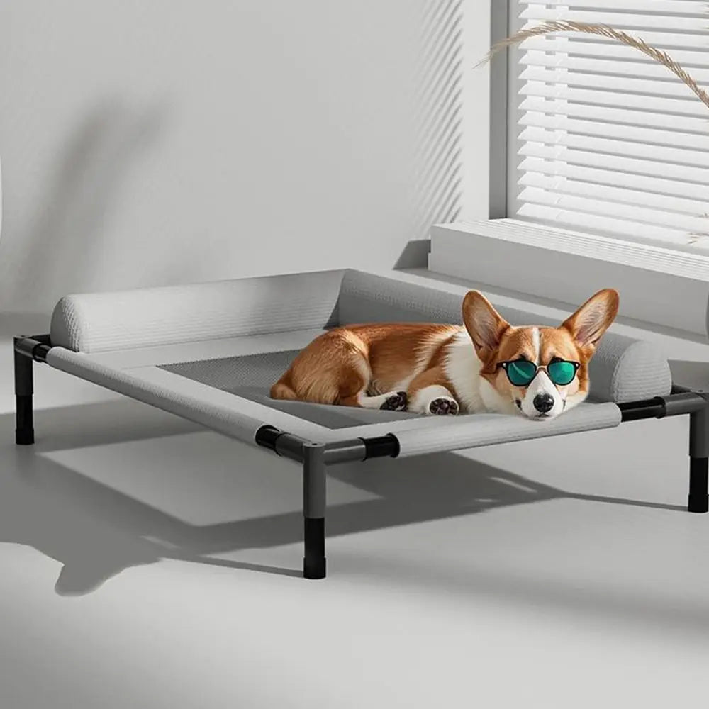 Elevated Mesh Pet Bed with Pillow