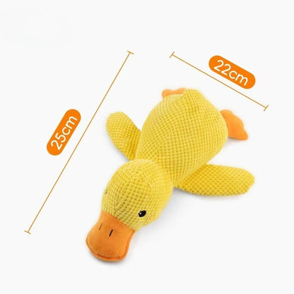 Interactive Chew Squeak Pet Toy