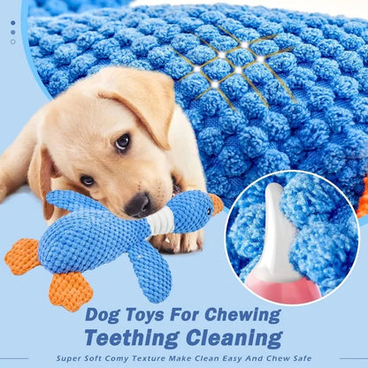 Interactive Chew Squeak Pet Toy
