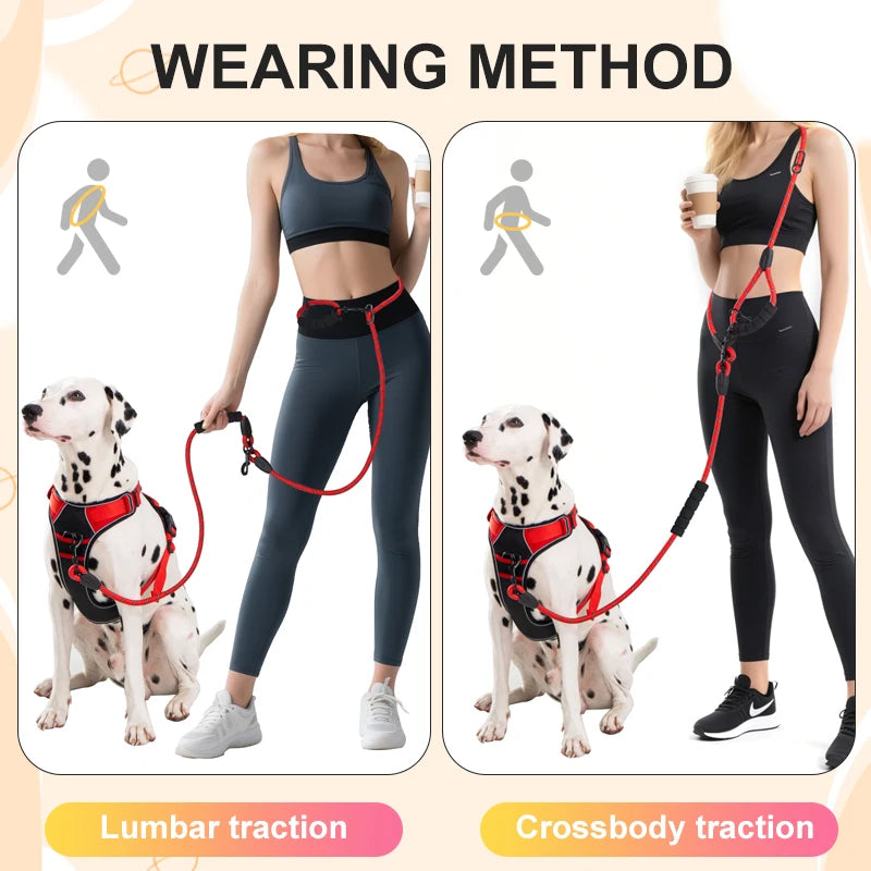 Heavy-Duty 7.8ft Dog Leash with Padded Handle