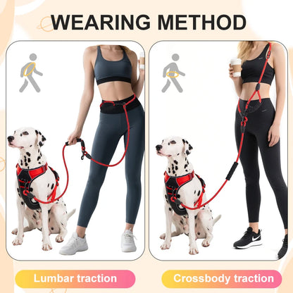 Heavy-Duty 7.8ft Dog Leash with Padded Handle