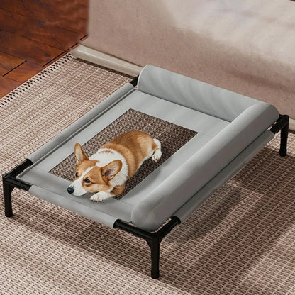 Elevated Mesh Pet Bed with Pillow