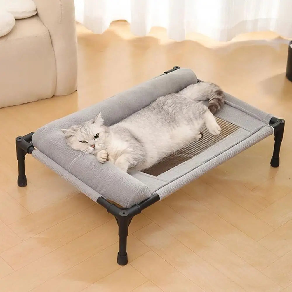 Elevated Mesh Pet Bed with Pillow