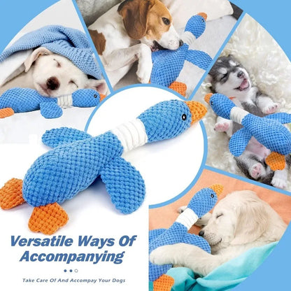 Interactive Chew Squeak Pet Toy