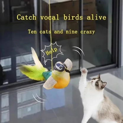 Bird Sound Cat Toy with Elastic Rope