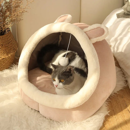 Cartoon Deep Sleep Cat & Pet Bed